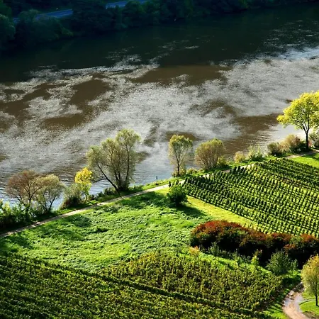 Weingut Helmut Barzen Apartment Zell an der Mosel Exterior photo