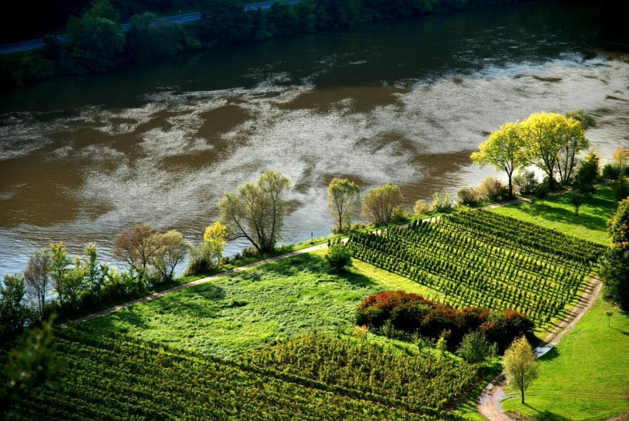 Weingut Helmut Barzen Apartment